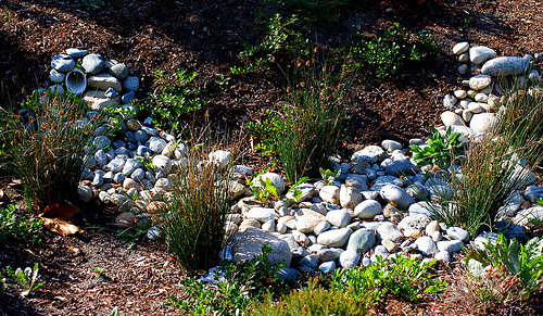 Rain garden