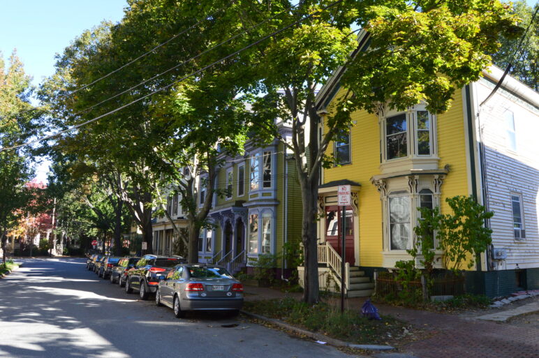 Tree Lined Street in Portland, Maine