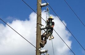 WAPA Rocky Mountain Lineman Dusty Haskins attaches conductor to the insulators on a St. Thomas utility pole, Oct. 5. Part of the deployed 25-member crew, Haskins, aiding U.S. Virgin Islands Water and Power Authority in power restoration of its 34.5-kv transmission system following the system damaged caused by Hurricanes Irma and Maria. (Photo by Kevin Ripplinger)