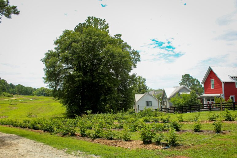 Chattahoochee Hills, Georgia wrote its zoning code to protect its rural character from Atlanta sprawl. Photo by Serenbe. 