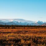 brown grass field near mountain under blue sky during daytime