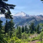 Photo of snow-peaked mountains from the alpine forest greenery.