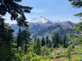 Photo of snow-peaked mountains from the alpine forest greenery.