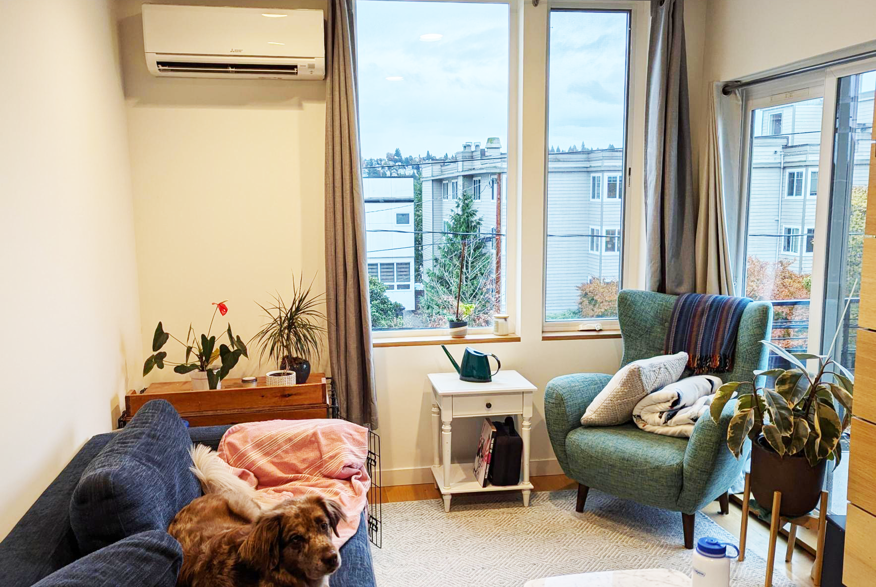 Willow G. Dog, resting on a couch in a room with a heat pump AC unit. The G. stands for "Good"