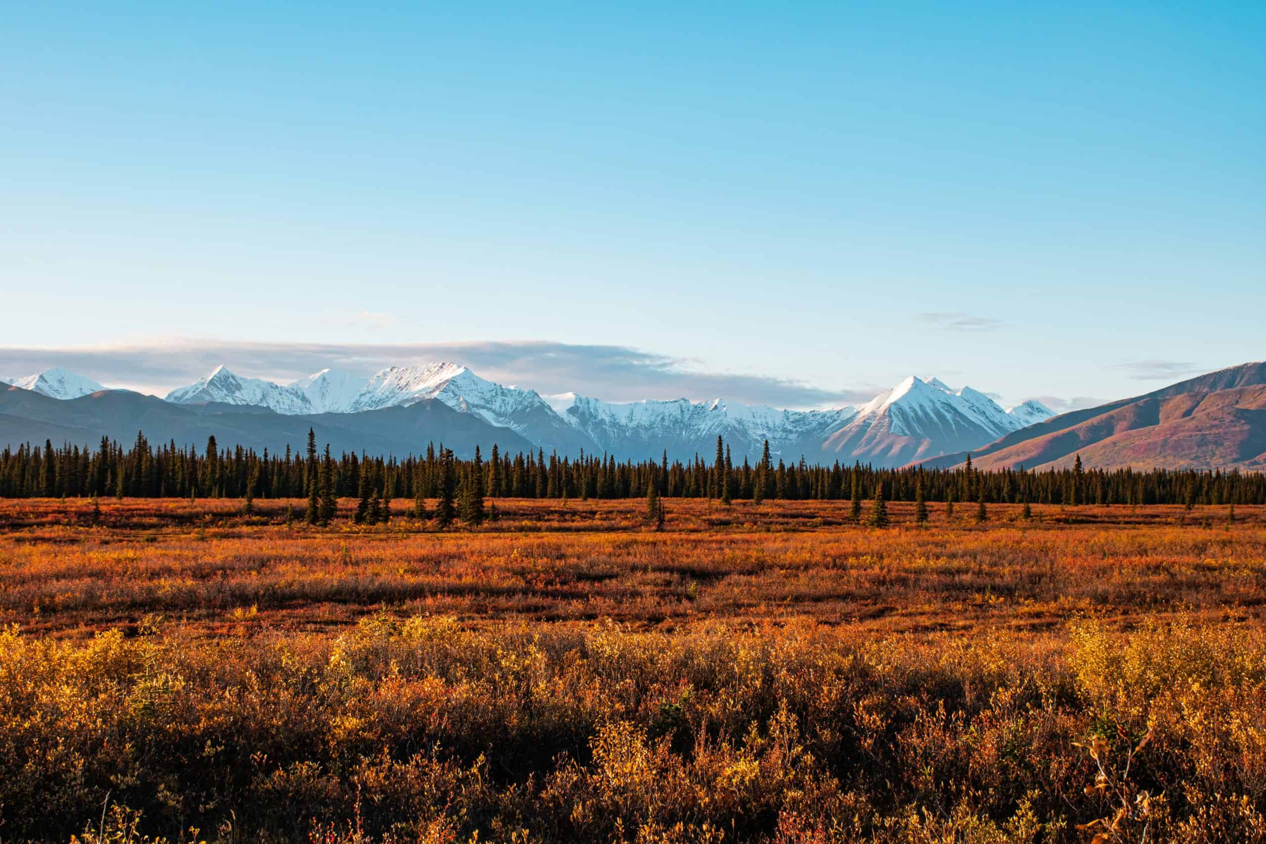 brown grass field near mountain under blue sky during daytime|Pie chart showing in Alaska's 2022 general election